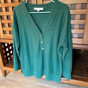 LOFT V-Neck Sweater in Deep Green